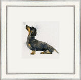 Banger (Dachshund)- Dogs and Cats Framed Limited Edition Art Print by Kay Johns