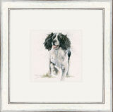 Jasper (Springer) - Dogs and Cats Framed Limited Edition Art Print by Kay Johns