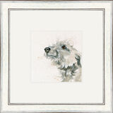 Dougal (Lurcher) - Dogs and Cats Framed Limited Edition Art Print by Kay Johns