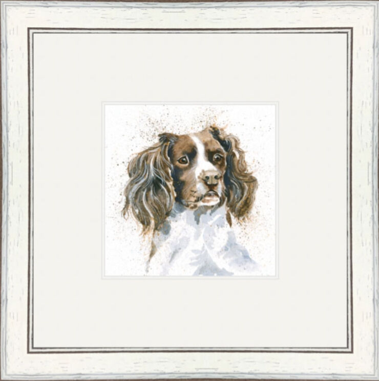 Sam (Springer) - Dogs and Cats Framed Limited Edition Art Print by Kay Johns