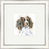 Sam (Springer) - Dogs and Cats Framed Limited Edition Art Print by Kay Johns