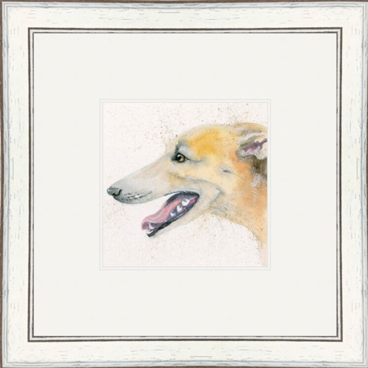 Flight (Greyhound) - Dogs and Cats Framed Limited Edition Art Print by Kay Johns