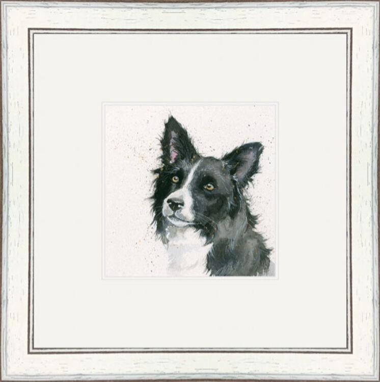 Freya (Border Collie) - Dogs and Cats Framed Limited Edition Art Print by Kay Johns