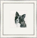 Freya (Border Collie) - Dogs and Cats Framed Limited Edition Art Print by Kay Johns