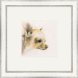 Titch (Chihuahua) - Dogs and Cats Framed Limited Edition Art Print by Kay Johns