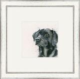 Lad (Black Lab) - Dogs and Cats Framed Limited Edition Art Print by Kay Johns