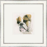 Winston (Bulldog) - Dogs and Cats Framed Limited Edition Art Print by Kay Johns