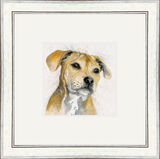Bailey (Staffie) - Dogs and Cats Framed Limited Edition Art Print by Kay Johns