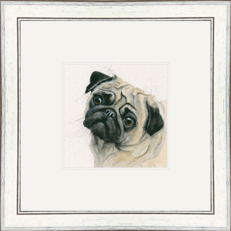 Pugsey (Pug) - Dogs and Cats Framed Limited Edition Art Print by Kay Johns
