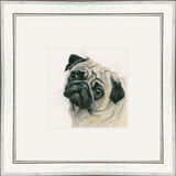 Pugsey (Pug) - Dogs and Cats Framed Limited Edition Art Print by Kay Johns
