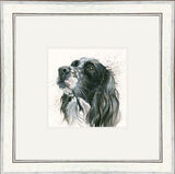 Max (Setter) - Dogs and Cats Framed Limited Edition Art Print by Kay Johns