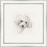 Oscar (Bichon Frise)- Dogs and Cats Framed Limited Edition Art Print by Kay Johns