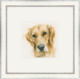 Henry (Retriever) Dogs and Cats Framed Limited Edition Art Print by Kay Johns