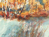 Frost & Autumn Birches Canvas Art Print by Chris Forsey