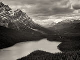 Peyto View Canvas Art Print by Dennis Frates