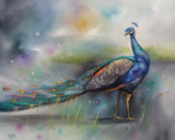 Look at Me Canvas Art Print by Alison McIlkenny