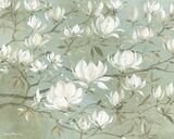 White Magnolia Canvas Art Print by Diane Demirci