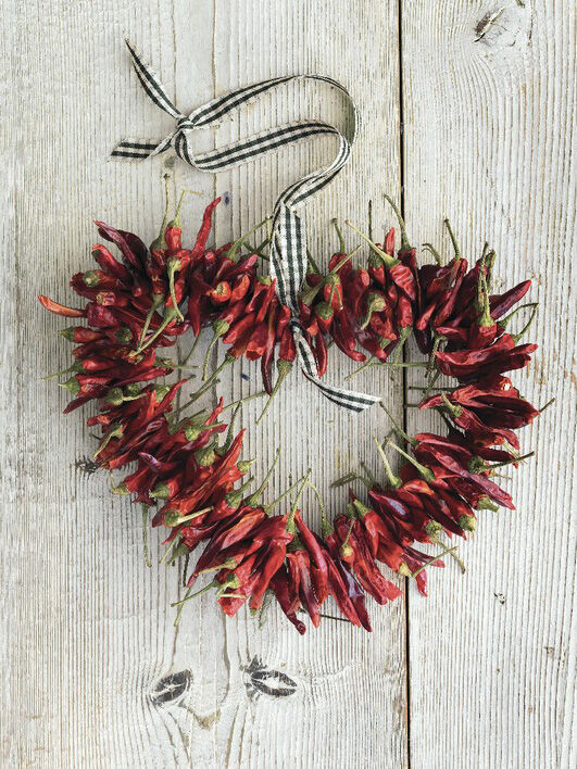 Picante II Canvas Art Print by Howard Shooter