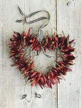 Picante II Canvas Art Print by Howard Shooter