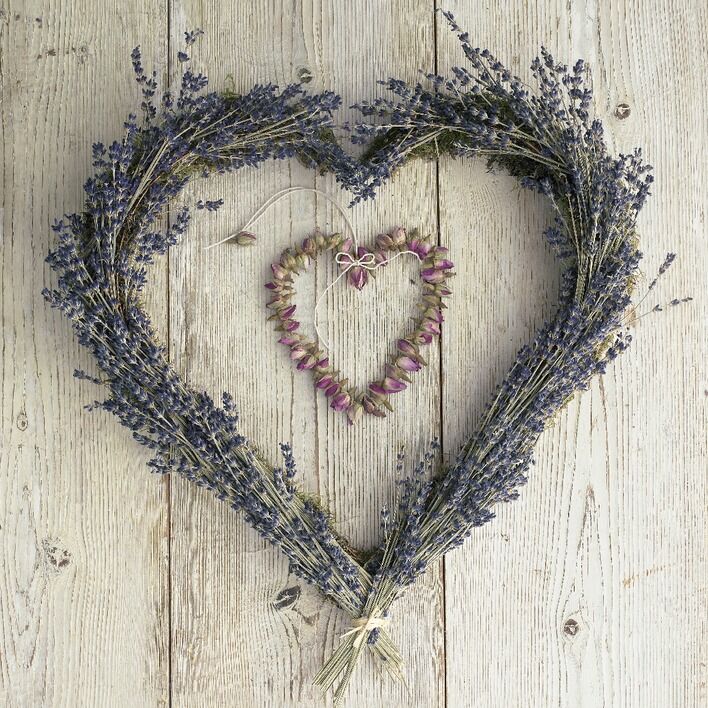 La Lavende Canvas Art Print by Howard Shooter