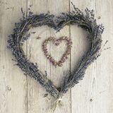 La Lavende Canvas Art Print by Howard Shooter