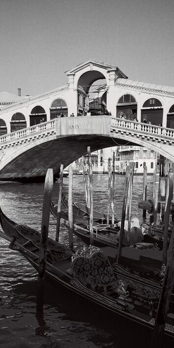 Rialto Bridge, Venice Canvas Art Print by Heiko Lanio