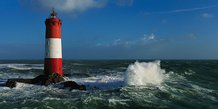 Grand Cardinaux Canvas Art Print by Jean Guichard