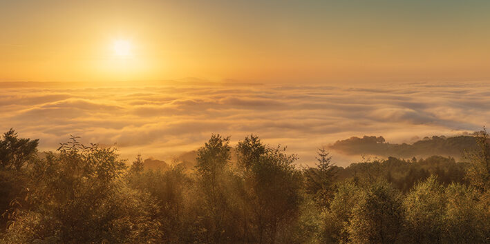 Mist over the River Exe, Devon, England Canvas Art Print by David Clapp