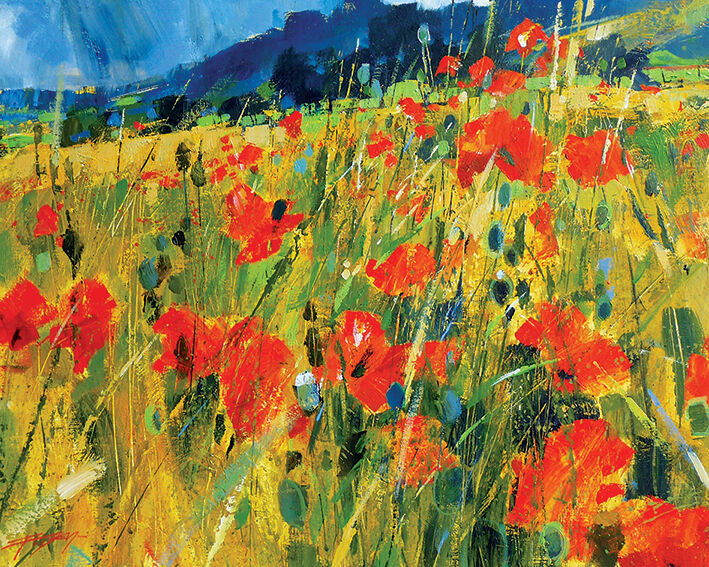 South Downs Poppies Canvas Art Print by Chris Forsey