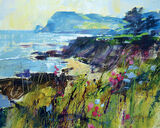 Getting to the Point, Prawle Canvas Art Print by Chris Forsey