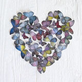 Butterfly Heart Canvas Art Print by Howard Shooter