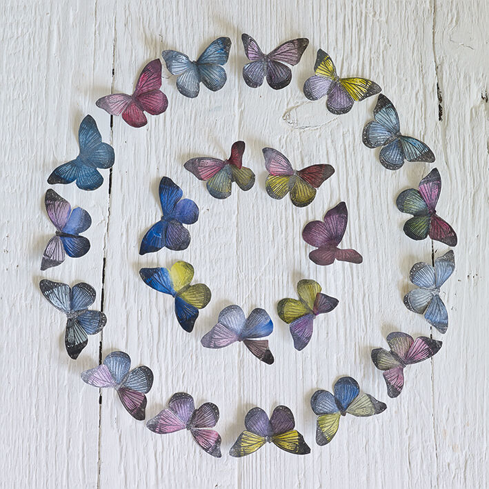 Butterfly Circle Canvas Art Print by Howard Shooter