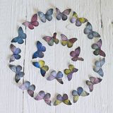 Butterfly Circle Canvas Art Print by Howard Shooter