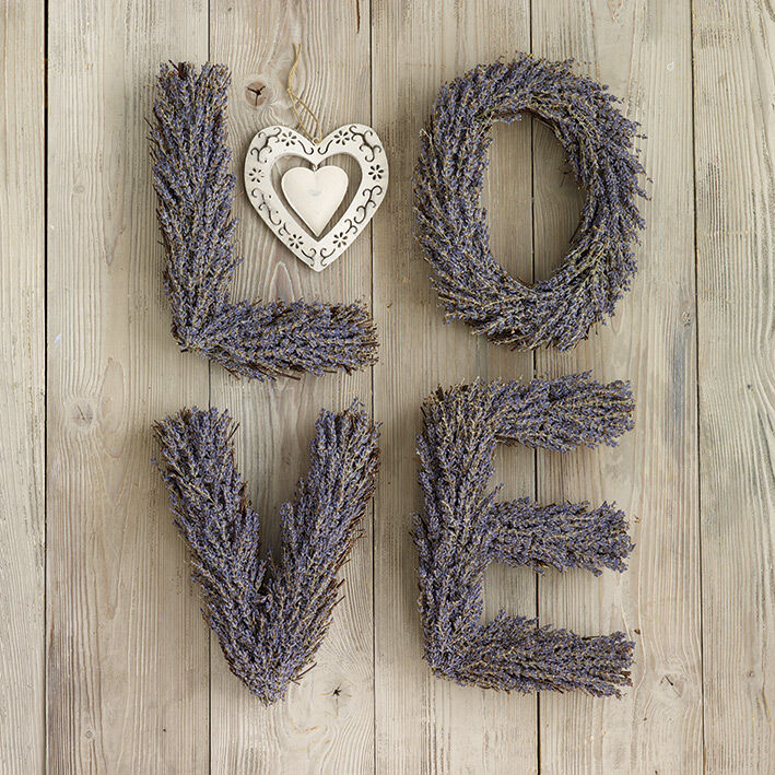 Lavender Love Canvas Art Print by Howard Shooter