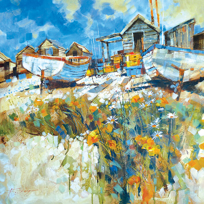 Daisies Amongst The Pebbles Canvas Art Print by Chris Forsey