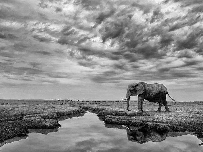 Giant Serenity Canvas Art Print by Mario Moreno