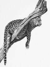 Okavango Art Canvas Art Print by Mario Moreno