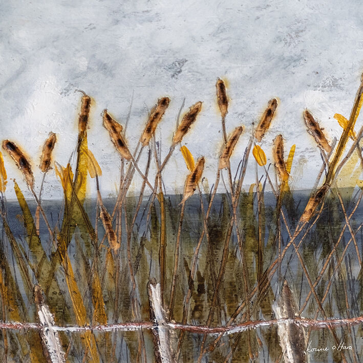 Autumn Bullrushes Canvas Art Print by Louise O'Hara