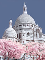 Sacre Coeur Infrared, Paris Canvas Art Print by David Clapp