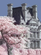 Jardin de Tuilieres Infrared, Paris Canvas Art Print by David Clapp