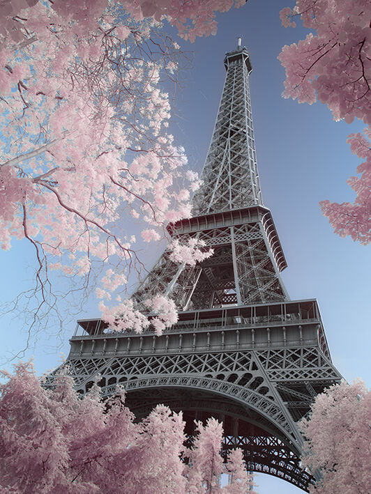 Eiffel Tower Infrared, Paris Canvas Art Print by David Clapp