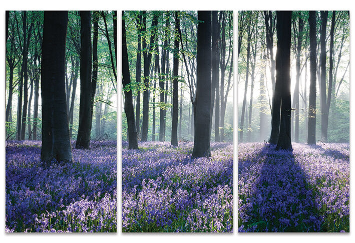 Playing the Blues II Canvas Triptych Art Print by David Clapp