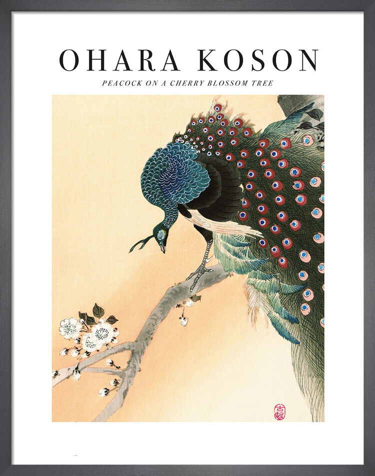 Peacock on a Cherry Blossom Tree Framed Art Print by Ohara Koson