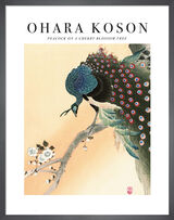 Peacock on a Cherry Blossom Tree Framed Art Print by Ohara Koson