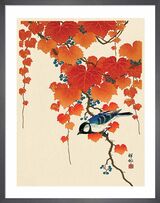 Bird and Red Ivy Framed Art Print by Ohara Koson