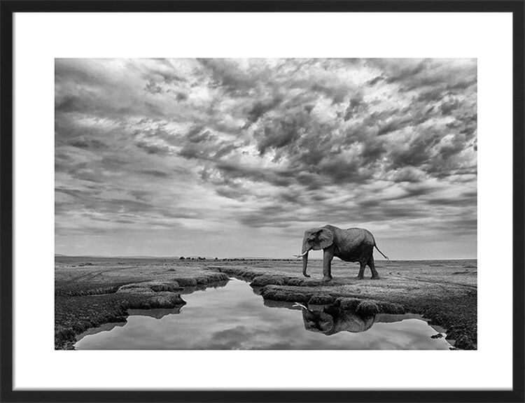 Giant Serenity Framed Art Print by Mario Moreno