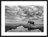 Giant Serenity Framed Art Print by Mario Moreno