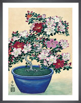 Blooming Azalea in Blue Pot Framed Art Print by Ohara Koson