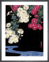 Chrysanthemum and Running Water Framed Art Print by Ohara Koson