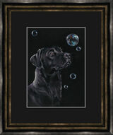 On Reflection - Black Labrador Framed Limited Edition Art Print by Kay Johns